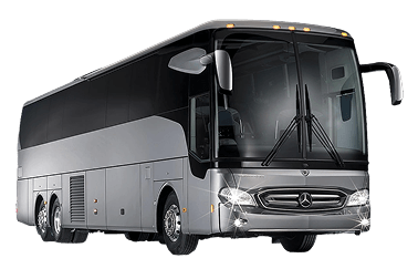 Full-Size Bus 